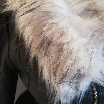 152156159_3695741273875149_4226495530541794810_n