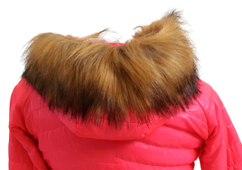 20211031_112925-removebg-preview