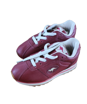 20230331_094056-removebg-preview