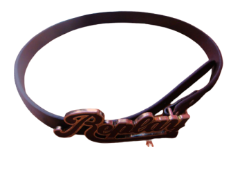 DSC05496-removebg-preview