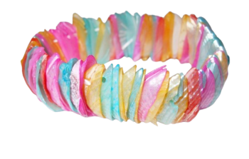 DSCN2322-removebg-preview2