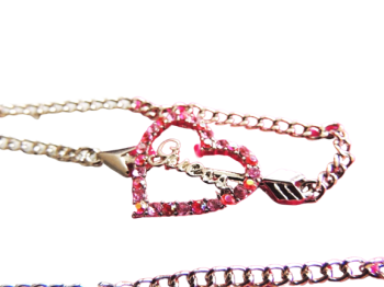 DSCN7278-removebg-preview