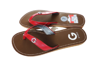 DSCN8375-removebg-preview