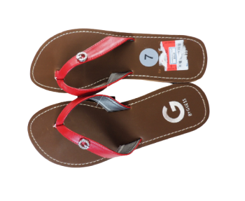 DSCN8376-removebg-preview